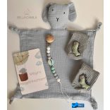 Dínós babaköszöntő ajándék kollekció