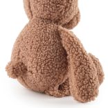 Teddy Mackó 