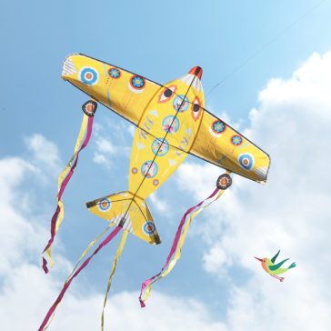 Szélsárkány - Óriás repülő - Maxi Plane
