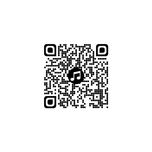 Djeco Játékhangszer - Cintányér és xilofon - Cymbal and Xylophone