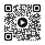 Djeco Körömmatricák - Mókicák - Cutie