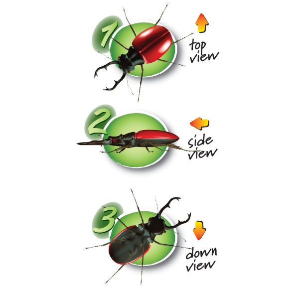 Három nézőszögű bogárvizsgáló - Triple Bug Viewer – 3 way Három nézőszögű bogárvizsgáló - Triple Bug Viewer – 3 way